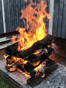 Fire Braai wood